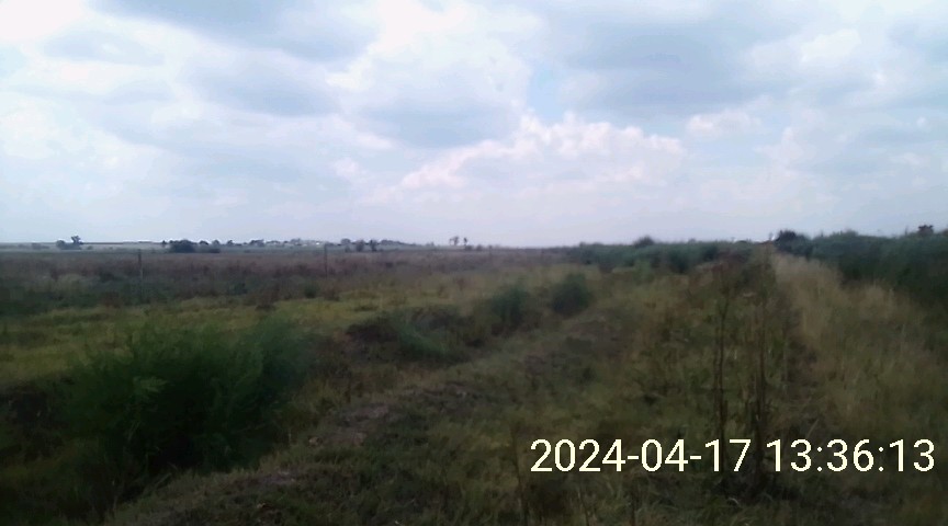  Bedroom Property for Sale in Koppies Rural Free State